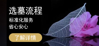 流程标准化 放心安心